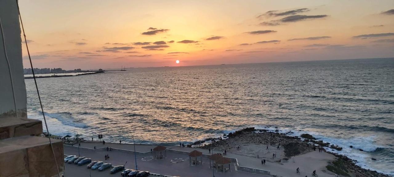 Hyat & * Alexandria